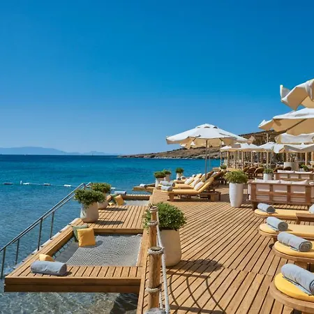 Mett & Bodrum